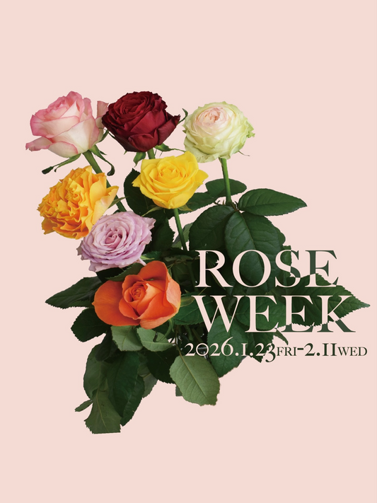 オザキフラワーパークがRoseWeek2026を開催、バラとクリスマスローズ講習会が来店者の学びに