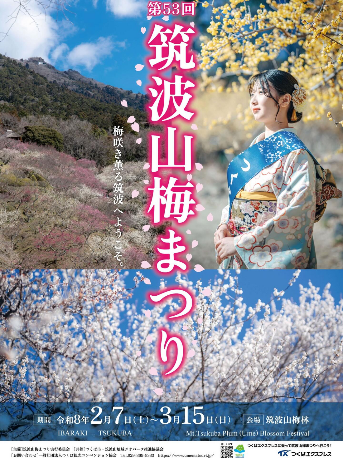 筑波山梅まつり実行委員会が第53回筑波山梅まつり2026を開催、約1,000本の梅景観が来場者の春体験に