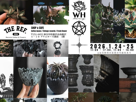 THE REF. 2024 Records Coffee & FlowersがPOPUPTHER EF.2024SHOP&CAFEを開催、アガベとレコードとコーヒーが来店者の選択肢に