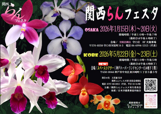 関西らんフェスタ実行委員会が第11回関西らんフェスタin神戸2026を開催、世界の珍しい洋蘭と熱帯植物の展示販売が来場者の選択肢に