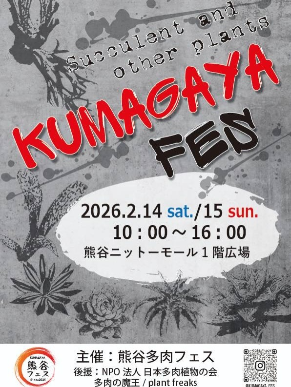 熊谷ニットーモールが第2回熊谷多肉フェス2026を開催、多肉植物とアガベ塊根植物の販売者が集結