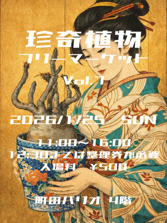 珍奇植物フリーマーケットが町田パリオ4階で即売会を開催、一般の育成者出品が収集家の探索に