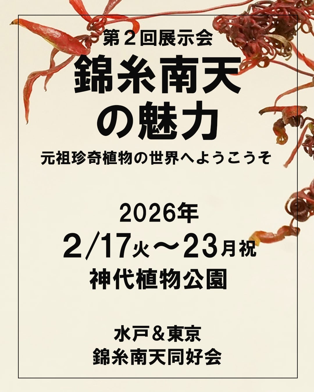 神代植物公園が第2回展示会錦糸南天の魅力2026を開催、南天銘鑑披露と苗木販売が愛好家の注目に