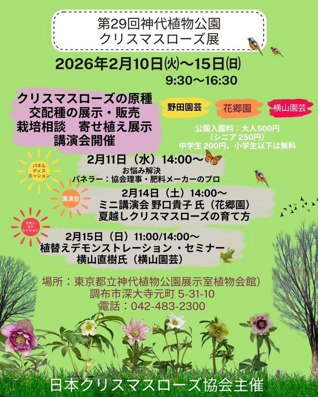 日本クリスマスローズ協会が第29回神代植物公園クリスマスローズ展を開催、原種交配種の展示販売と講演会を実施