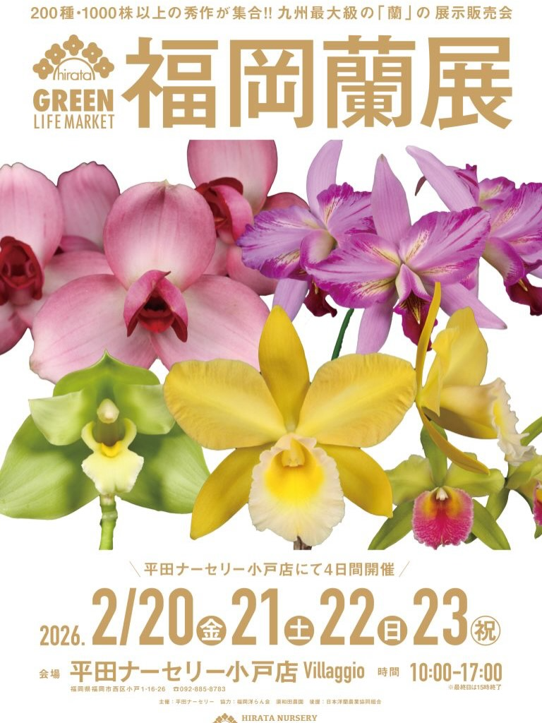 平田ナーセリーが福岡蘭展2026を開催、200種1000株以上の蘭展示販売と講習会が来場者の学びに