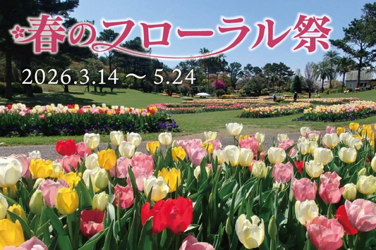 フローランテ宮崎が春のフローラル祭2026を開催、チューリップとバラの季節展示が春の来園動機に