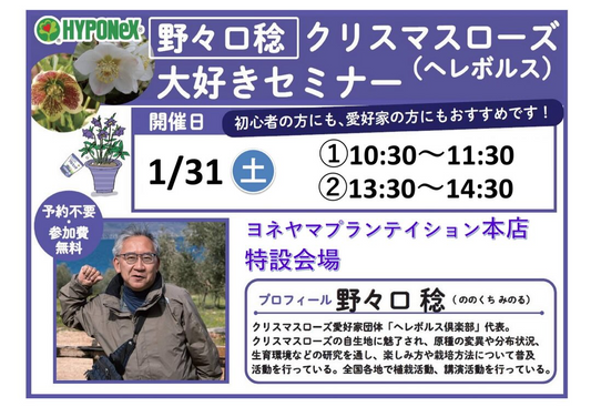 ヨネヤマプランテイション本店が野々口稔クリスマスローズ大好きセミナー2026を開催、ヘレボルス栽培の要点が初心者と愛好家の学びに