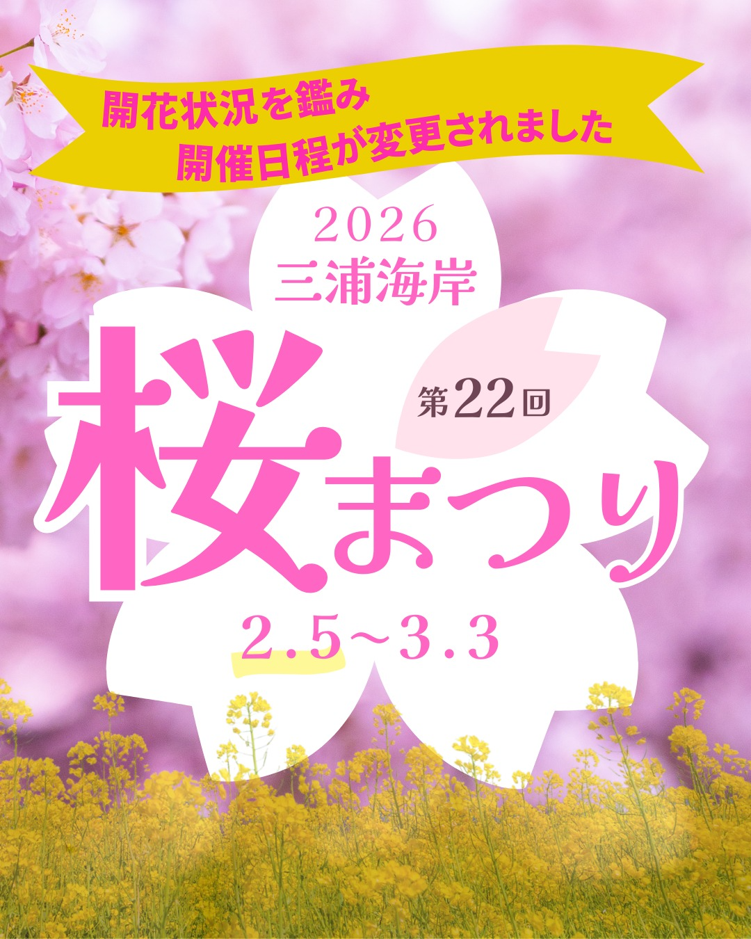 三浦海岸河津桜並木が第22回三浦海岸桜まつりを開催期間前倒しで実施、河津桜約1,000本と菜の花の景観が春の散策に