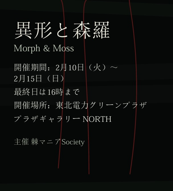 棘マニアSocietyが異形と森羅–Morph & Moss–を開催、46BOTA苔テラリウムとRe-NEWAL植木鉢展示が仙台で実施