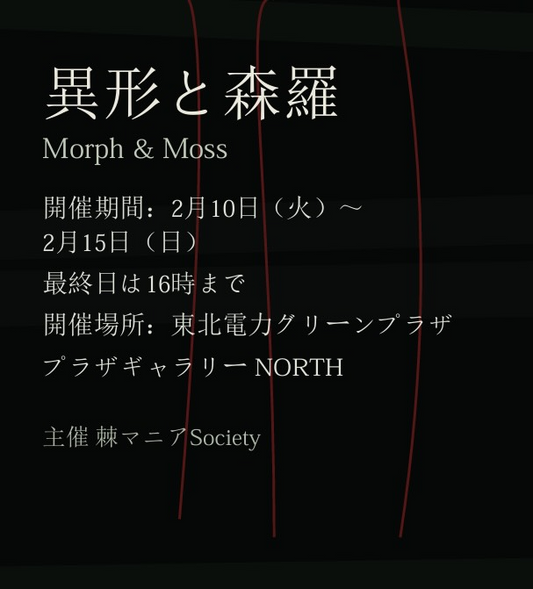 棘マニアSocietyが異形と森羅–Morph & Moss–を開催、46BOTA苔テラリウムとRe-NEWAL植木鉢展示が仙台で実施