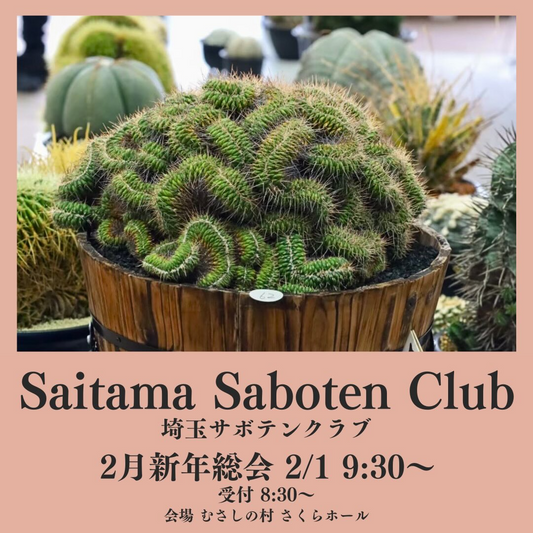 埼玉サボテンクラブが新年総会2026を開催、むさしの村さくらホールで品評会と交換苗を実施