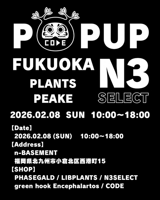 園芸ブランドCODEがCODE POPUP2026を開催、n-BASEMENTで塊根植物とビカクシダの展示販売