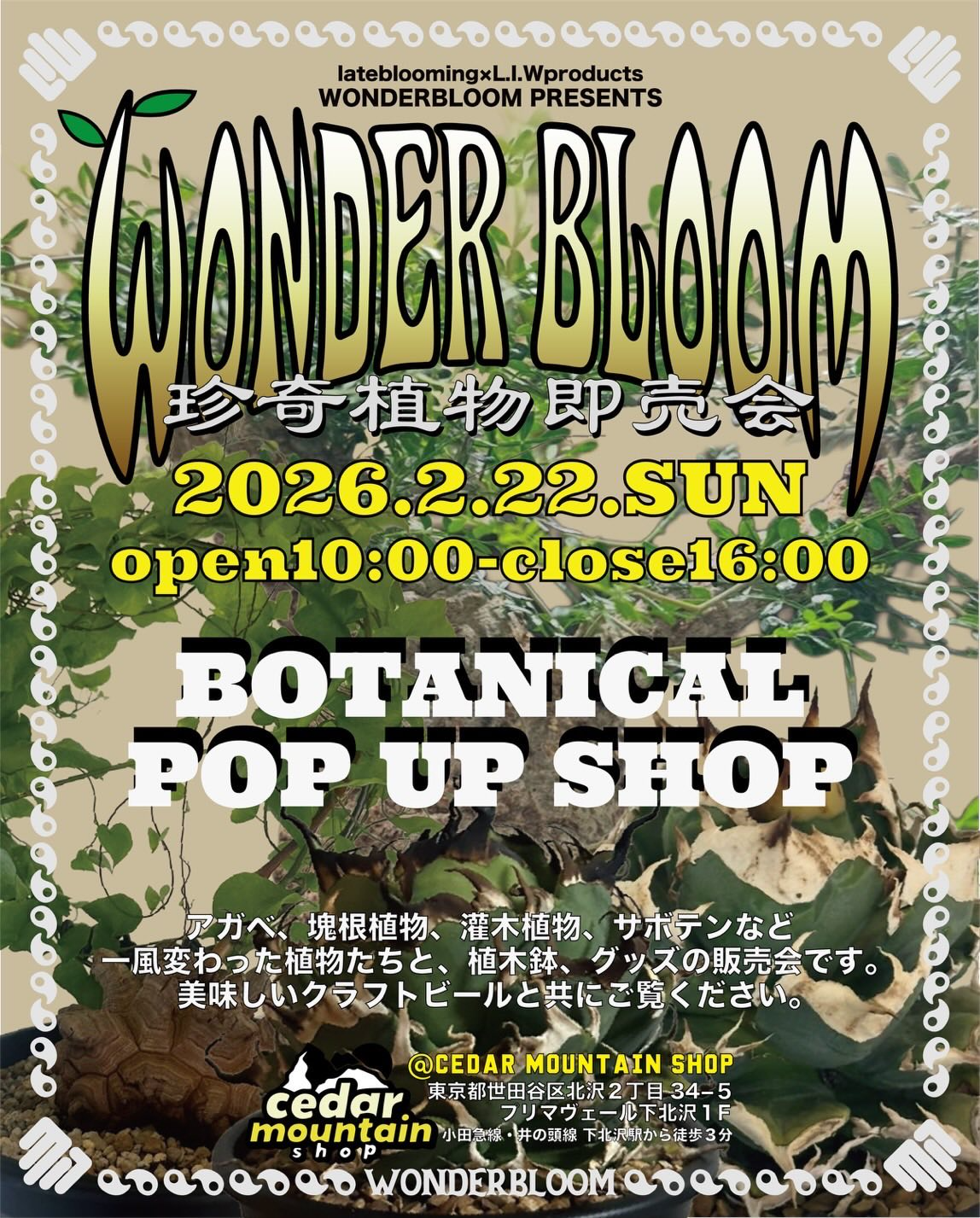 WONDER BLOOM珍奇植物即売会2026が下北沢で開催、アガベと塊根植物の WONDER BLOOM珍奇植物即売会2026が下北沢で開催、アガベと塊根植物の