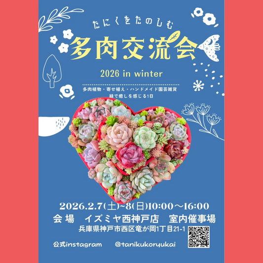 多肉交流会 2026 in winterがイズミヤ西神戸店で開催、多肉植物と寄せ植え販売が交流の場に
