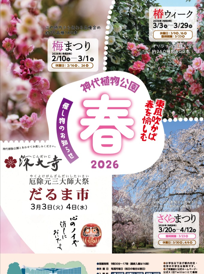 神代植物公園が令和8年梅まつりを開催、うめ園の古品種観賞が来園者の注目に