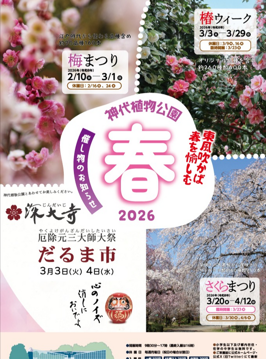 神代植物公園が令和8年梅まつりを開催、うめ園の古品種観賞が来園者の注目に