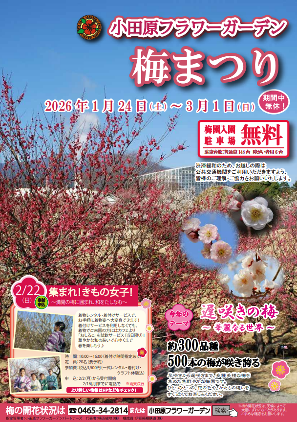 小田原フラワーガーデンが集まれきもの女子を開催、着物レンタルと着付け体験が梅園で楽しめる