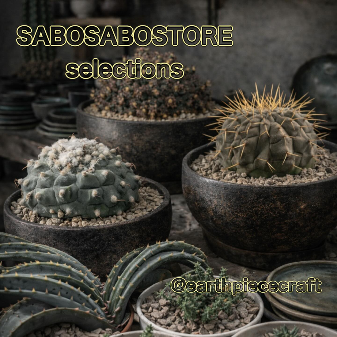 SABOSABOSTOREがSABOSABOSTORE Selectionsを開催、選抜苗販売と陶器鉢購入が工房来場の動機に