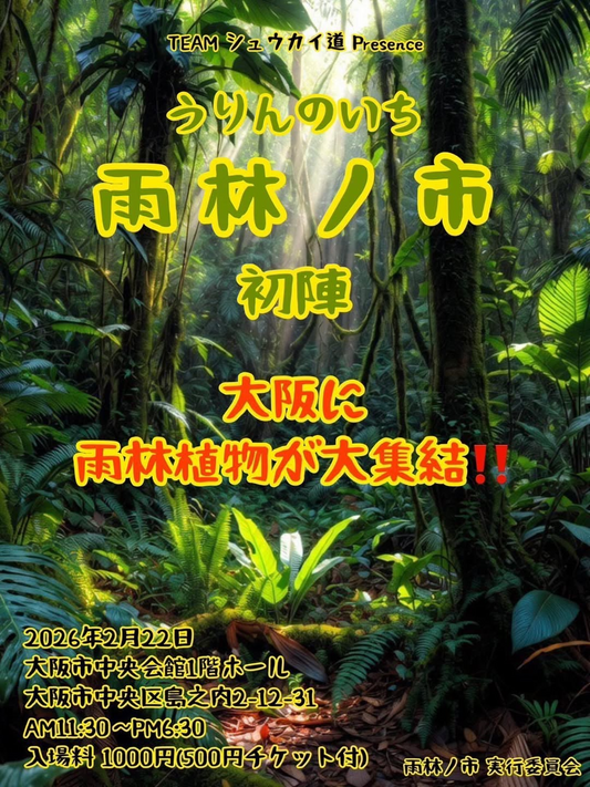 雨林ノ市初陣2026が大阪市立中央会館で開催、雨林植物大集結が観葉植物愛好家の注目に