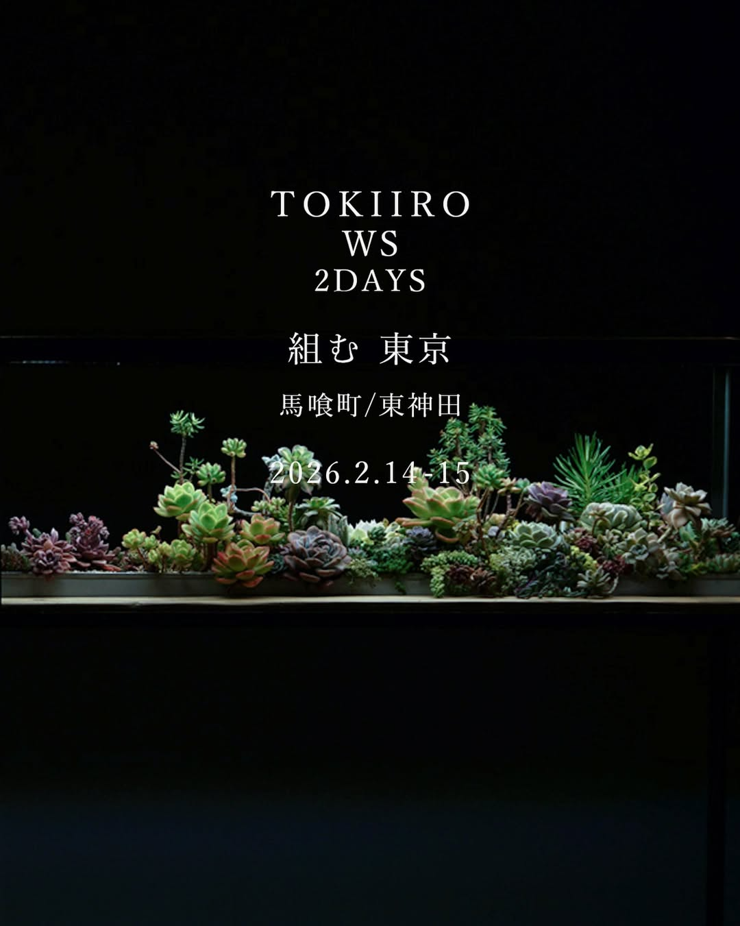 TOKIIROがTOKIIROWS2DAYS東京を開催、多肉植物7種の寄せ植えアレンジ習得が組むで可能に