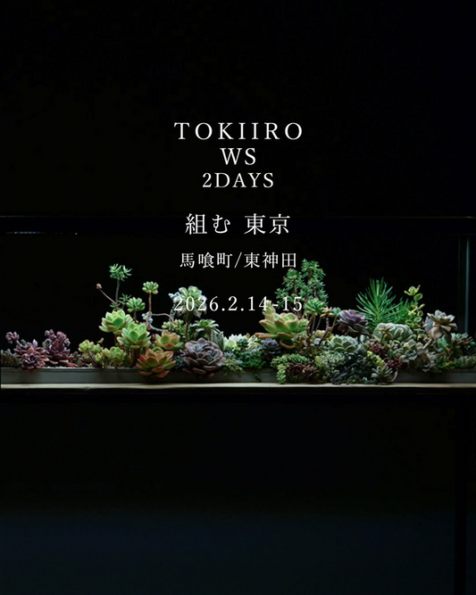 TOKIIROがTOKIIROWS2DAYS東京を開催、多肉植物7種の寄せ植えアレンジ習得が組むで可能に