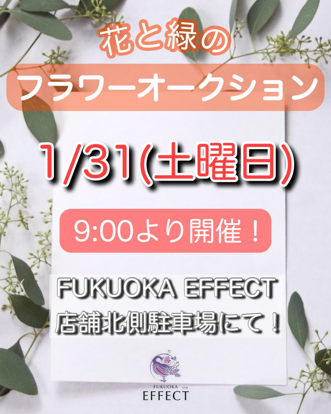 FUKUOKA EFFECTが花と緑のフラワーオークション2026を開催、参加型セリ体験が福岡市西区に集結