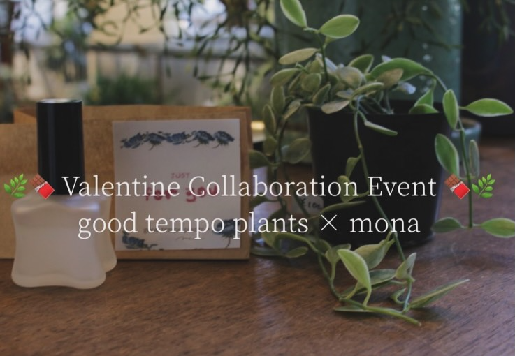 GOOD TEMPOがgood tempo plants×monaを実施、植物とルームフレグランスの限定10セットがバレンタイン需要に対応