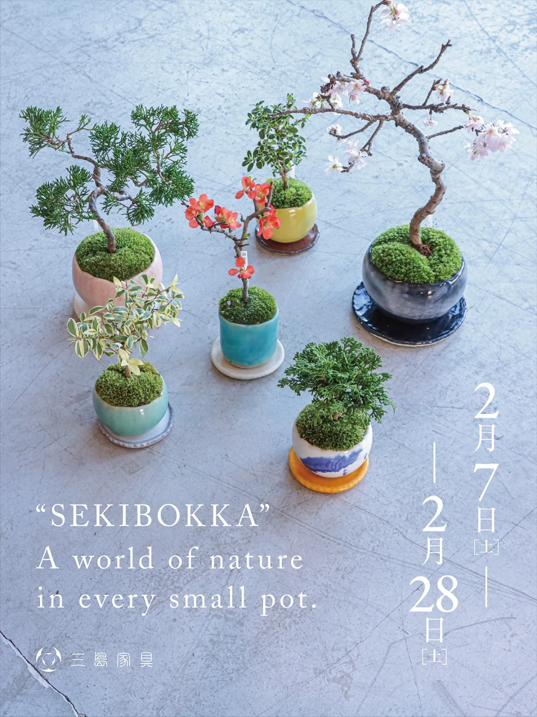 石木花が三島家具伊勢崎本店でPOP-UPを開催、手のひらサイズの盆栽提案が贈りもの需要に対応