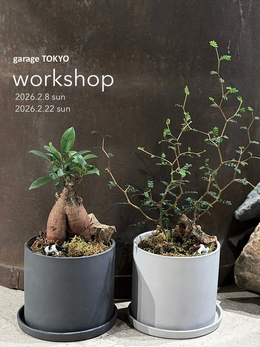garage TOKYOが植え替えワークショップを開催、箱庭風のひと鉢づくりが学びの機会に