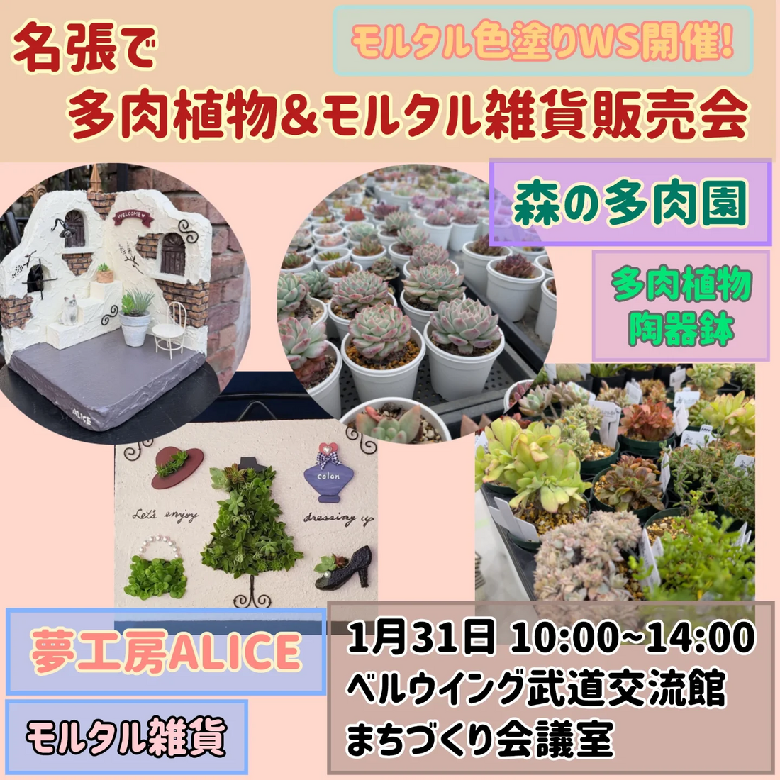 名張で多肉植物とモルタル雑貨販売会2026を開催、森の多肉園と夢工房ALICEの合同出展が注目に