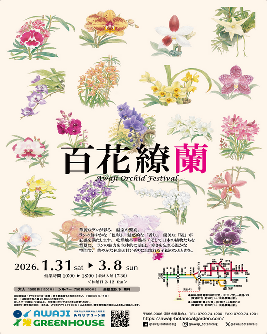 淡路夢舞台公苑温室が百花繚蘭2026を開催、ラン展示と販売企画が冬季集客に寄与