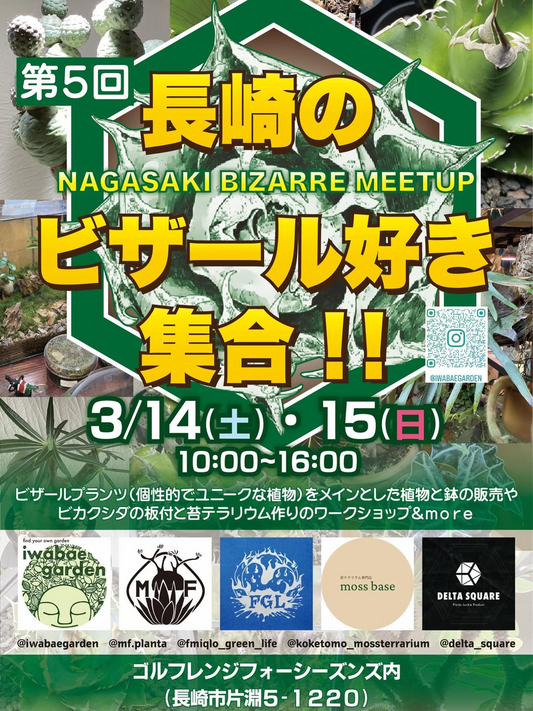 長崎のビザール好き集合が第5回イベントを開催、植物販売と体験型企画が交流促進に寄与