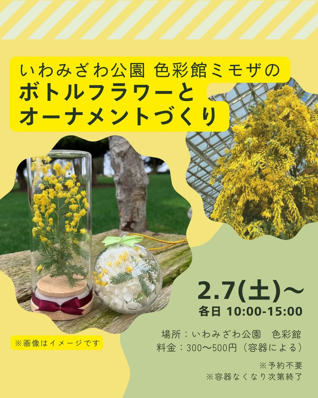 いわみざわ公園色彩館がミモザのボトルフラワー体験を開催、季節限定クラフト体験が来園者の創作意欲を喚起