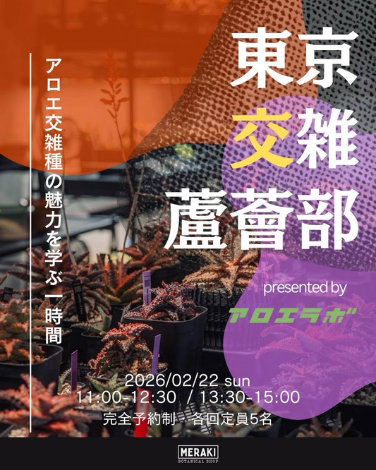 東京交雑蘆薈部2026が勉強会を開催、アロエ交雑種の学びと選抜体験が愛好家の関心を集める