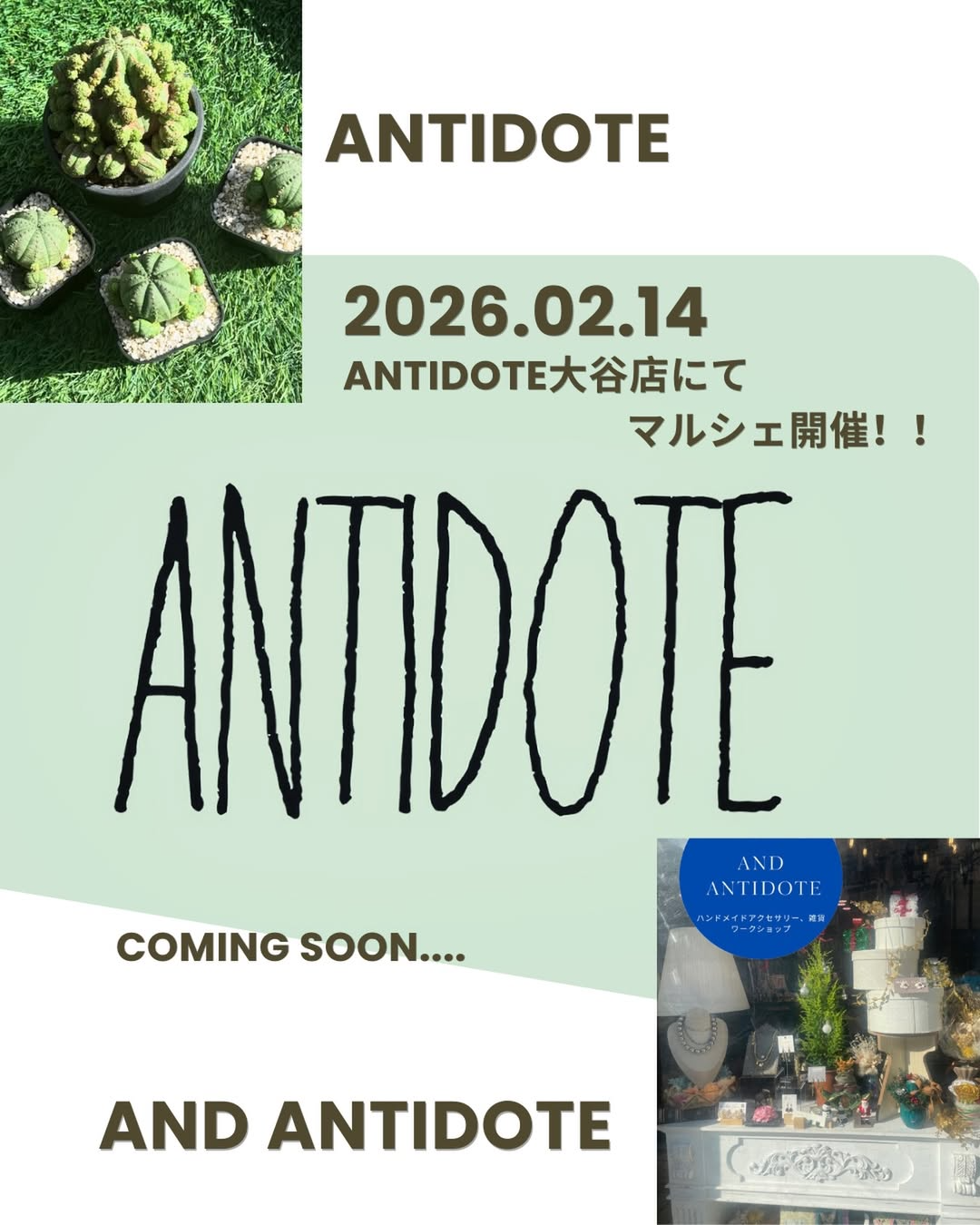 ANTIDOTEが大谷店でマルシェを開催、植物と雑貨のコラボ企画が静岡に集結