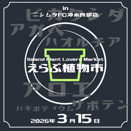 Island Plant Lovers Marketえらぶ植物市2026が開催、沖永良部島初の植物即売会に注目