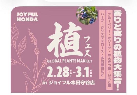 ジョイフル本田守谷店が植フェスglobal plants market2026を開催、果樹苗と多肉植物販売に注目