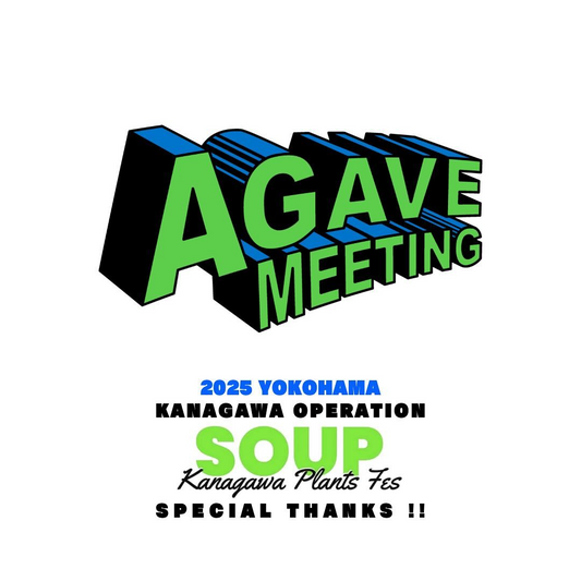 AGAVE MEETINGが横浜で初の品評会を開催、SOUPとの協力で新たなアガベイベントを展開