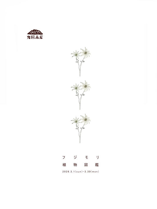 フジモリ植物が個展フジモリ植物図鑑を開催、植物を描いた作品展示がいなべ市で実施