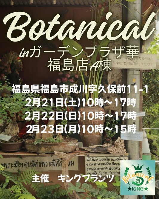 ガーデンプラザ華が多肉植物販売会を開催、生産者出店によるBotanical inガーデンプラザ華