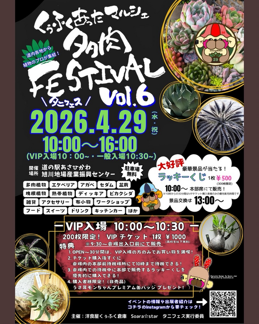 くうふくあったマルシェが多肉FESTIVALVol.6を開催、旭川で植物と雑貨の販売会を実施