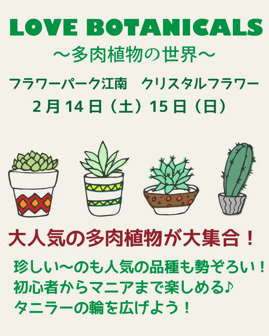 LOVE BOTANICALS多肉植物の世界が開催決定、江南市で多肉植物マルシェを実施