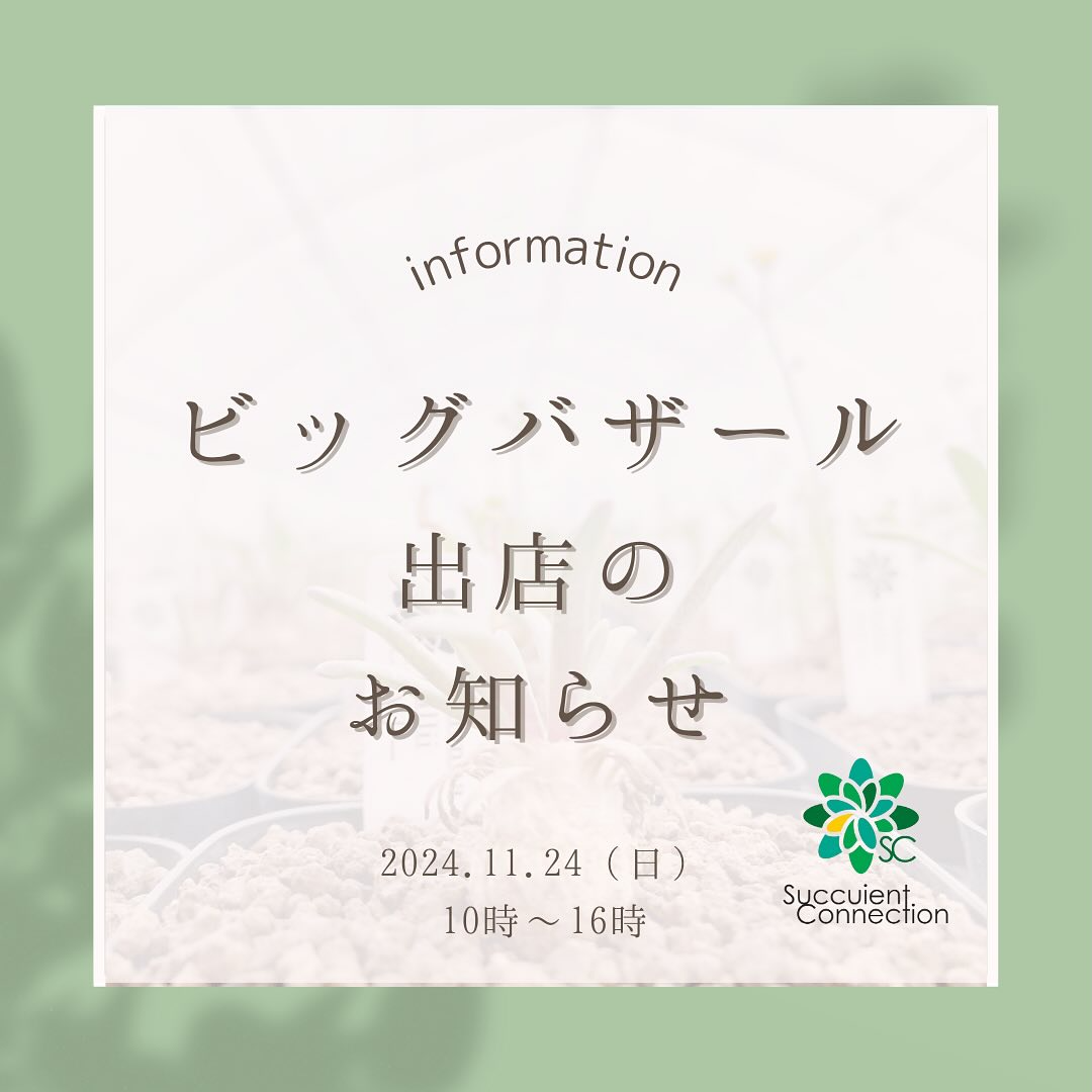 サボテン・多肉植物ビッグバザール「ハオルチア 百花繚乱」が五反田TOCビルで開催、国内外の著名育種家が集結