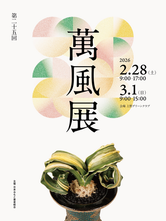 第25回萬風展が万年青文化体験を実施、上野蓬莱閣で展示と講習会を開催