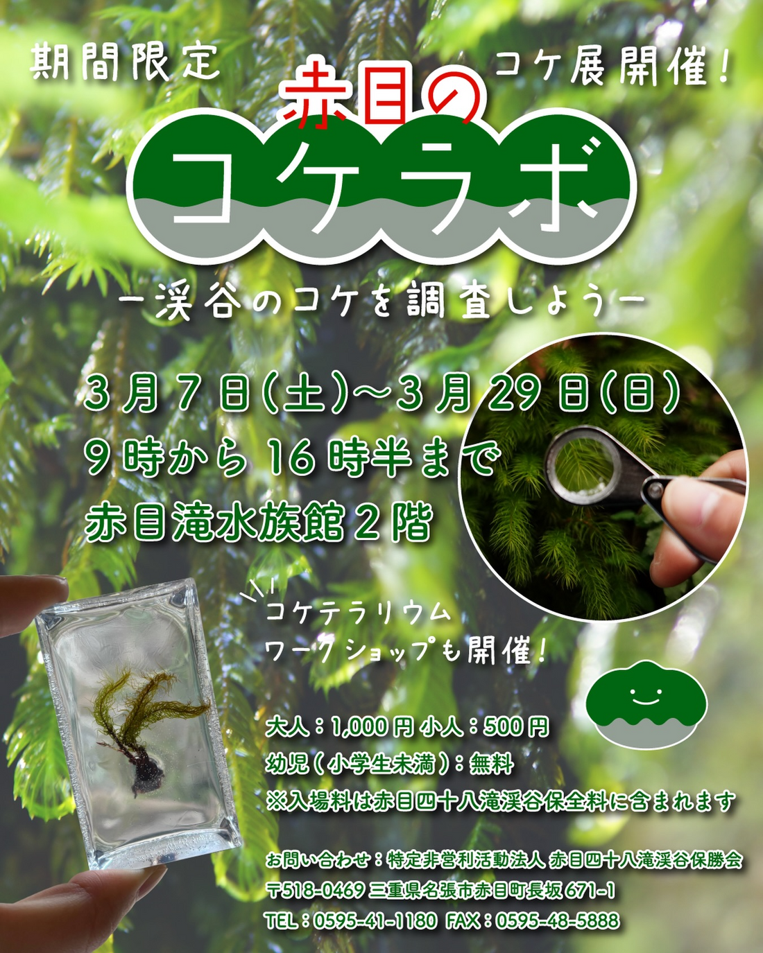 赤目滝水族館が赤目のコケラボを開催、渓谷のコケ展示と体験企画に注目