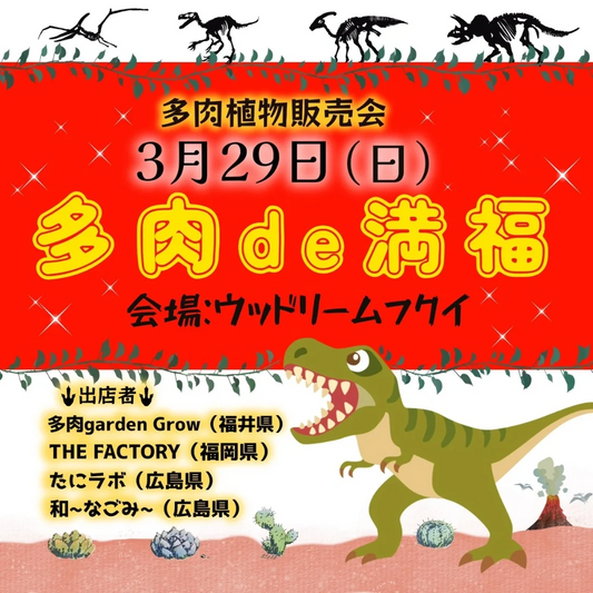 多肉植物販売会多肉de満福inウッドリームフクイが開催、福井県総合グリーンセンターで多肉販売実施