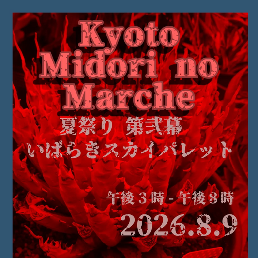 京都みどりのマルシェ夏祭りvol.2が開催、16ブースの多肉植物とビザールプランツがJR茨木駅前に集結