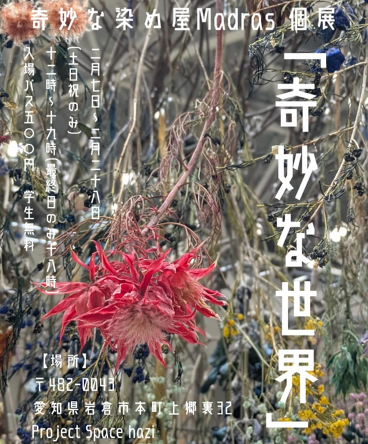 マドラスが個展奇妙な世界を2026年2月に開催、染めのドライフラワー作品を岩倉市で展示