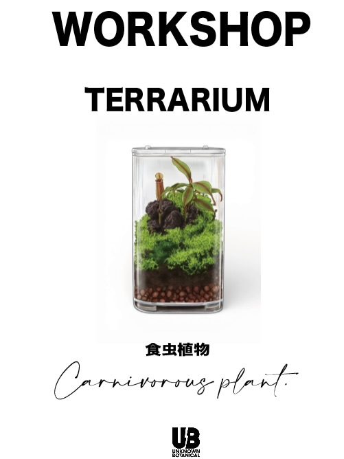 スーパービバホーム茨木目垣店が食虫植物テラリウムワークショップ2026を開催、3月15日に3回実施