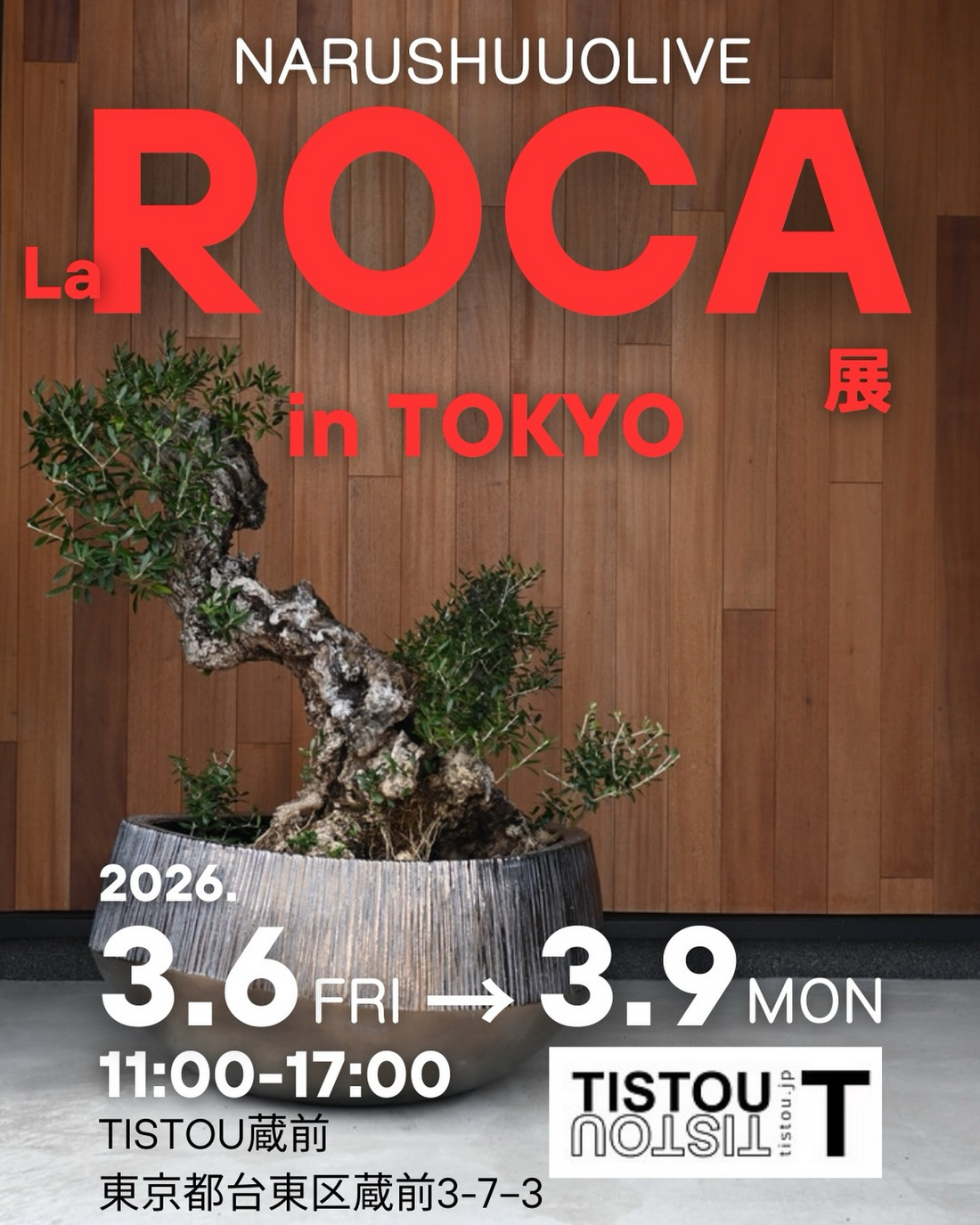 La Roca展が2026年3月に東京TISTOUで開催、オリーブ約20本とDOMANI鉢を展示販売
